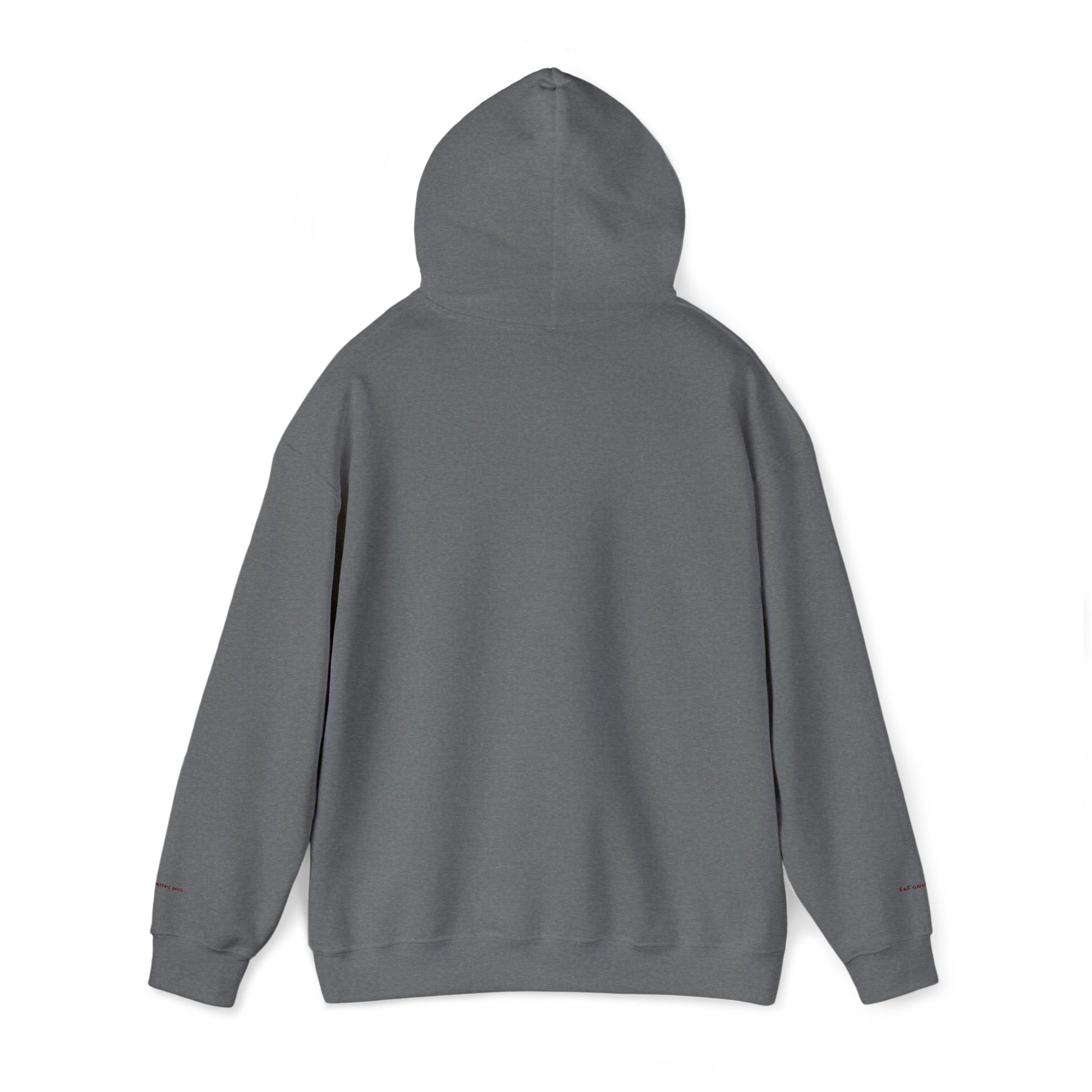 Don't Do Drugs Embroidered Hooded Sweatshirt