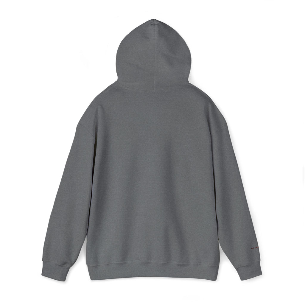 Toronto Embroidered Hooded Sweatshirt