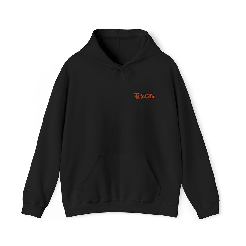 Toronto Embroidered Hooded Sweatshirt