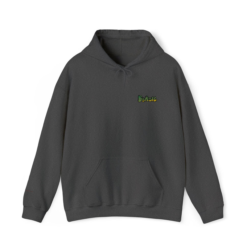 Brazil Embroidered Hooded Sweatshirt