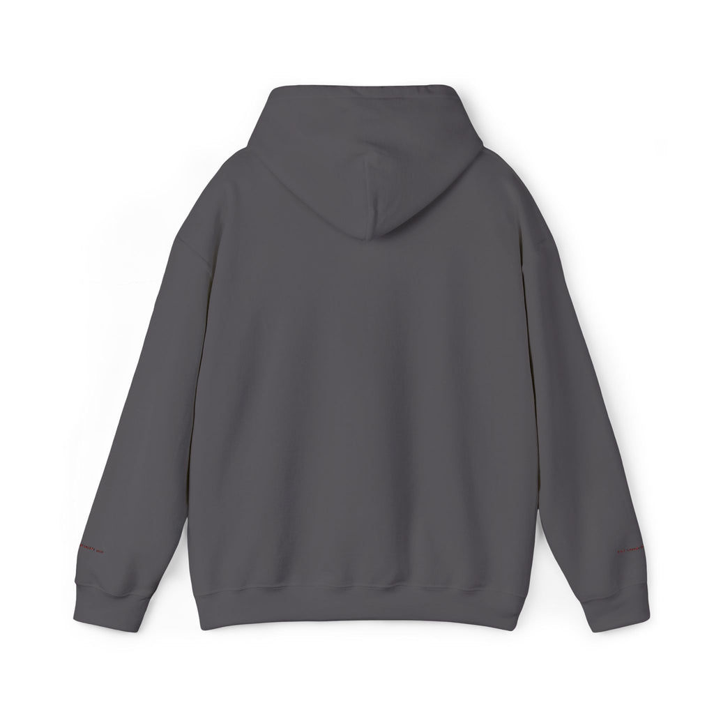 Detroit Embroidered Hooded Sweatshirt