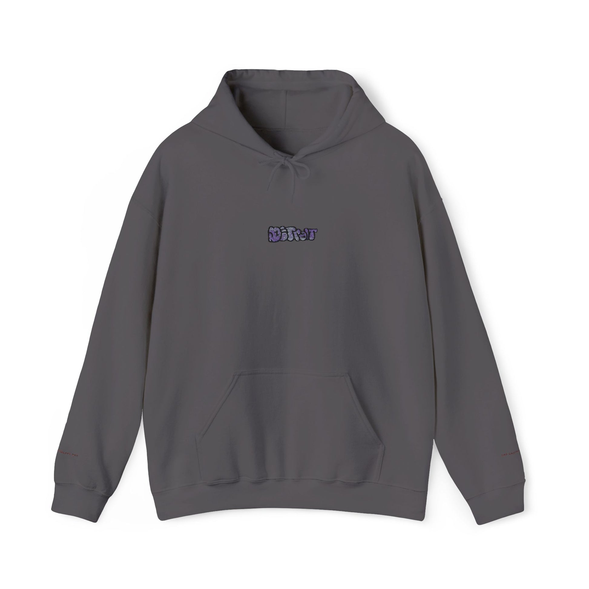 Detroit Embroidered Hooded Sweatshirt