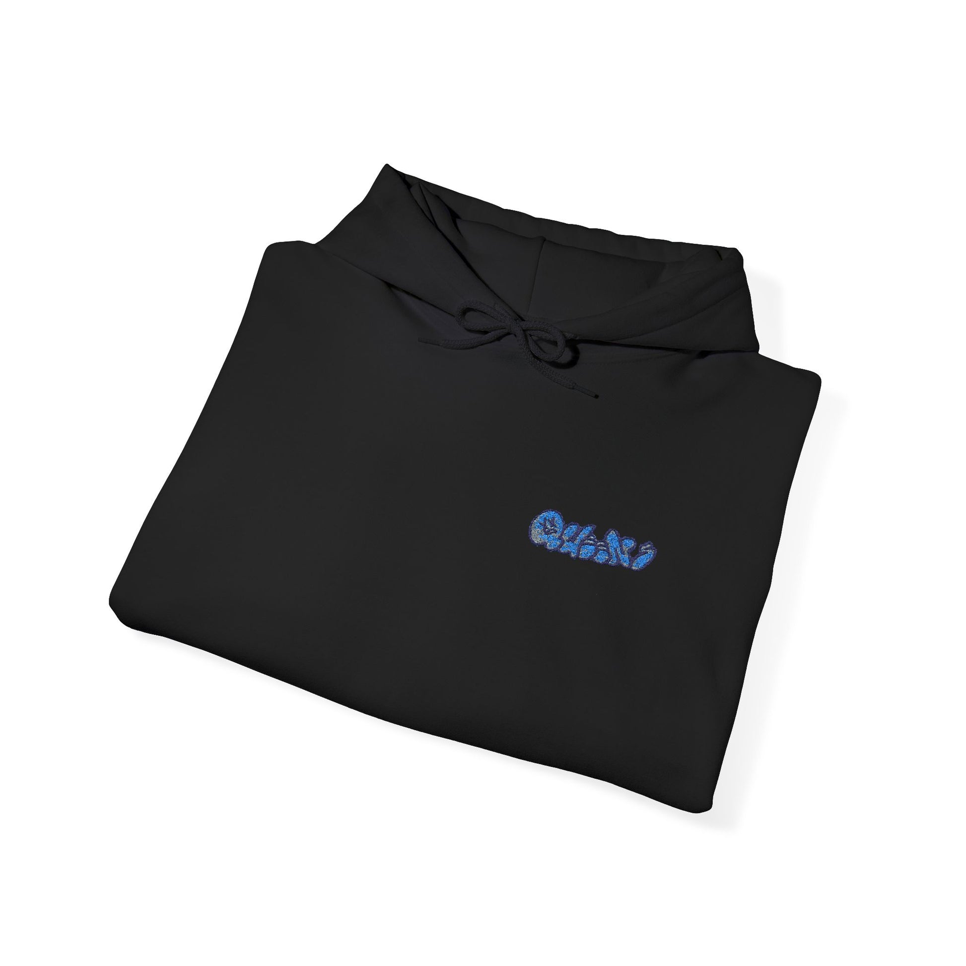 Queens Embroidered Hooded Sweatshirt