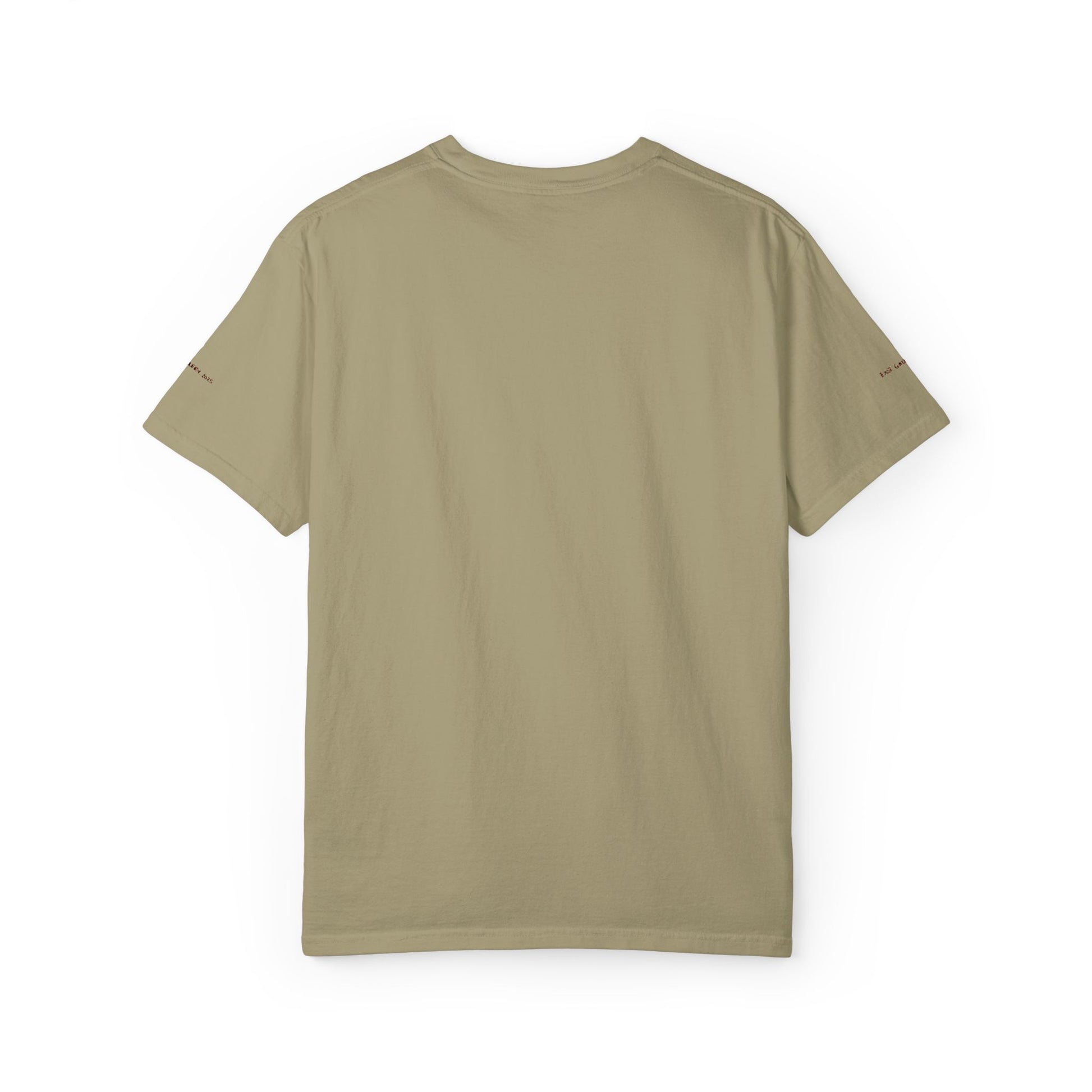 Houston Embroidered T-shirt