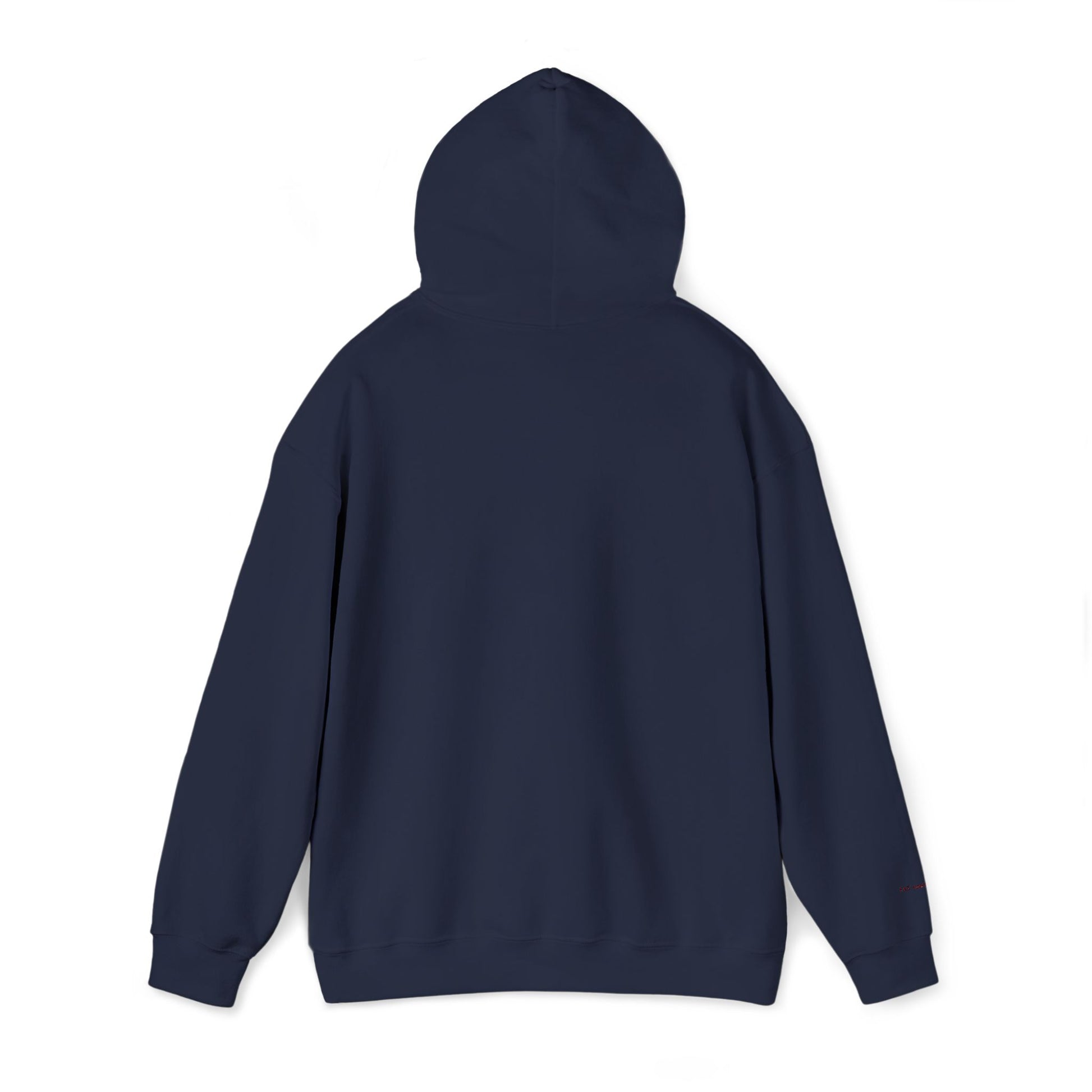 Toronto Embroidered Hooded Sweatshirt