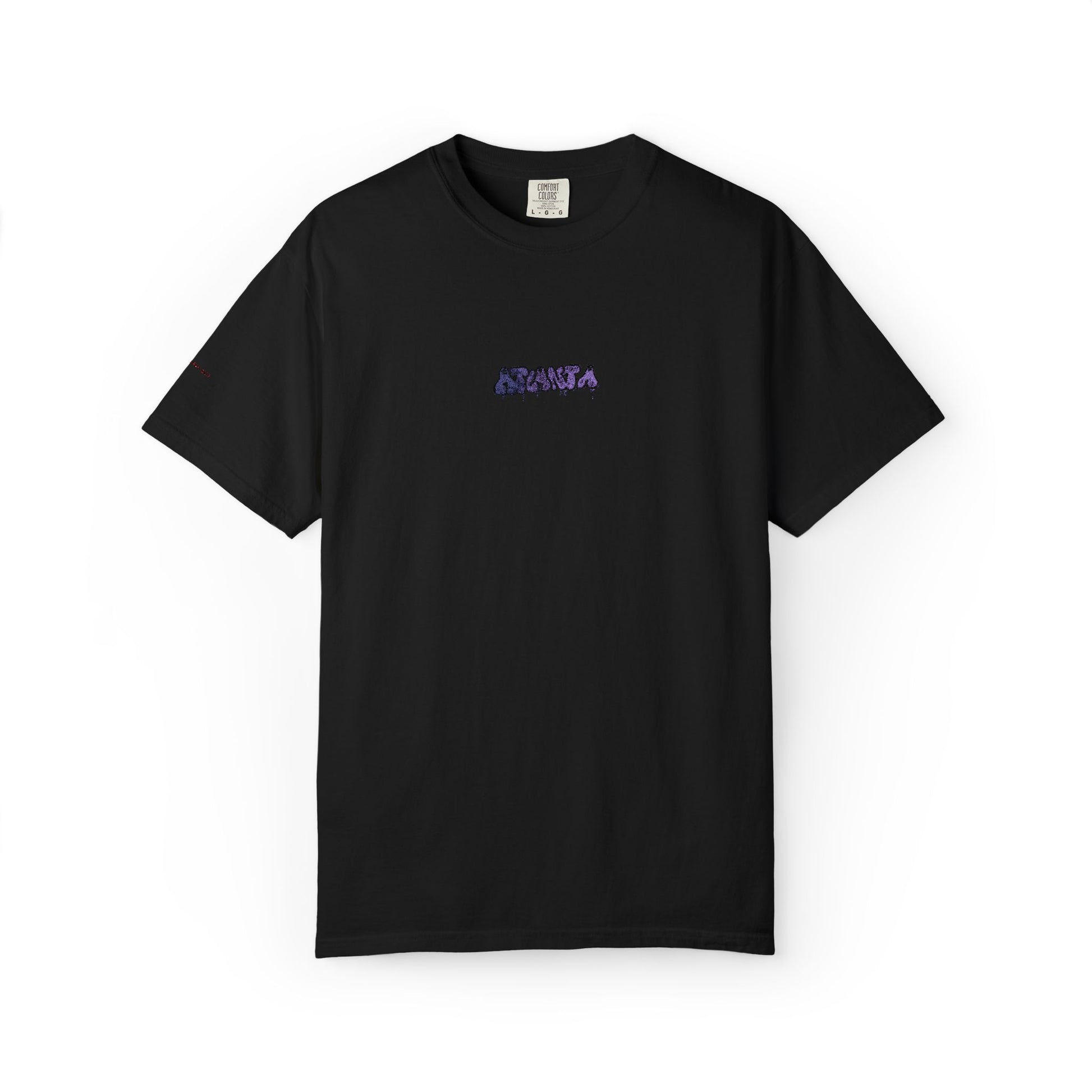 Atlanta Embroidered T-shirt