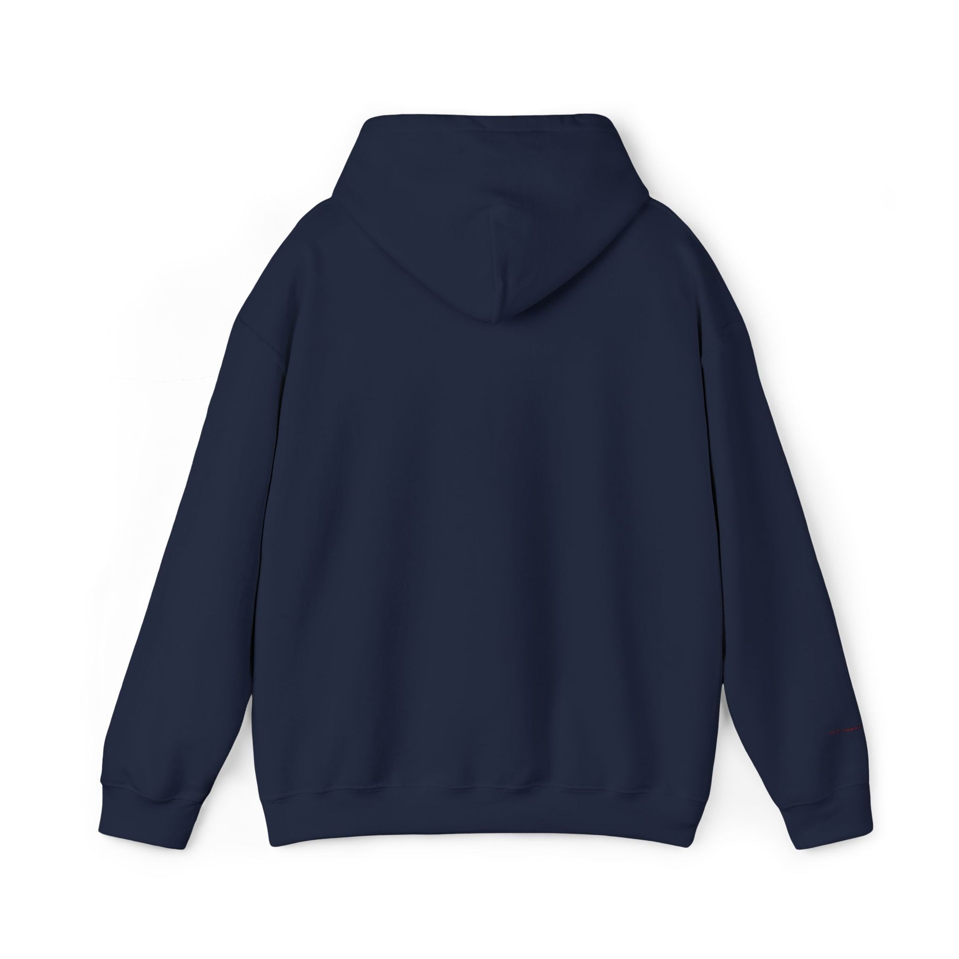 Brazil Embroidered Hooded Sweatshirt