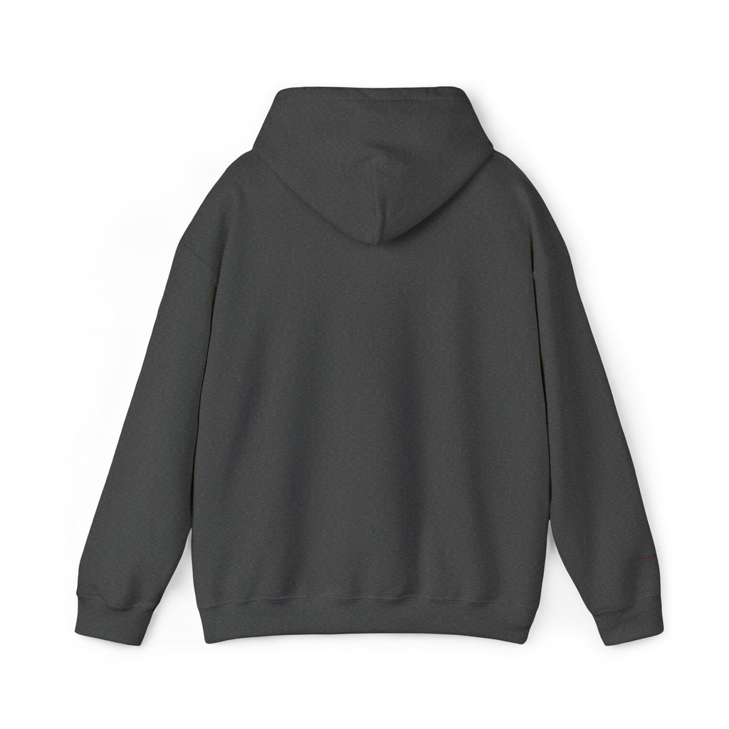 Houston Embroidered Hooded Sweatshirt