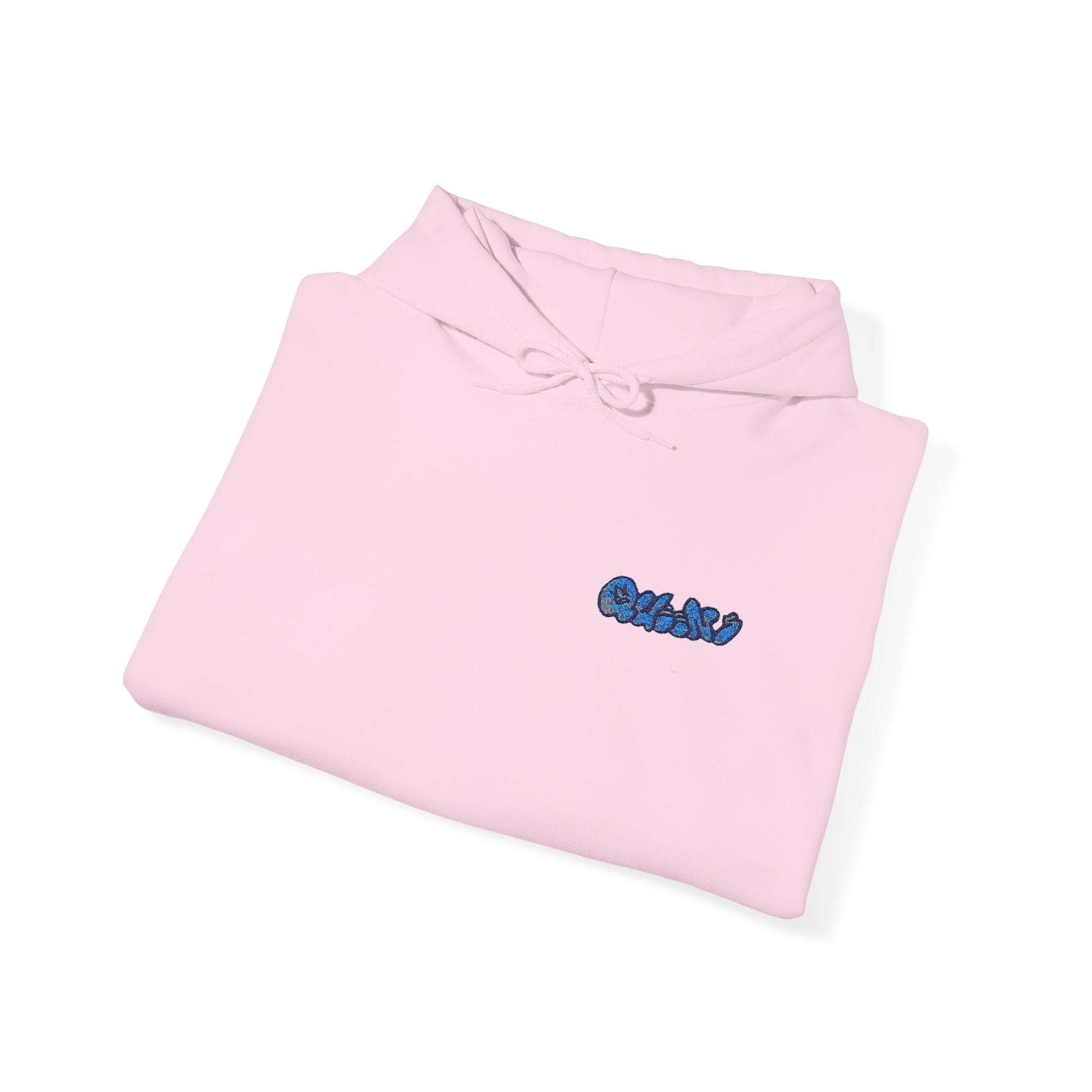 Queens Embroidered Hooded Sweatshirt