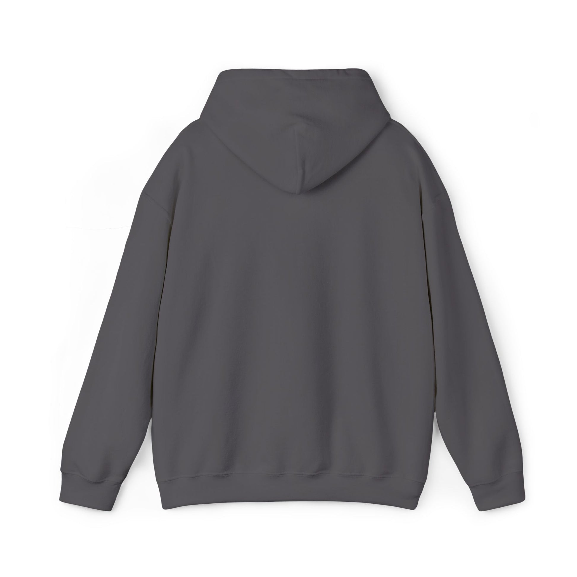 Manchester Embroidered Hooded Sweatshirt