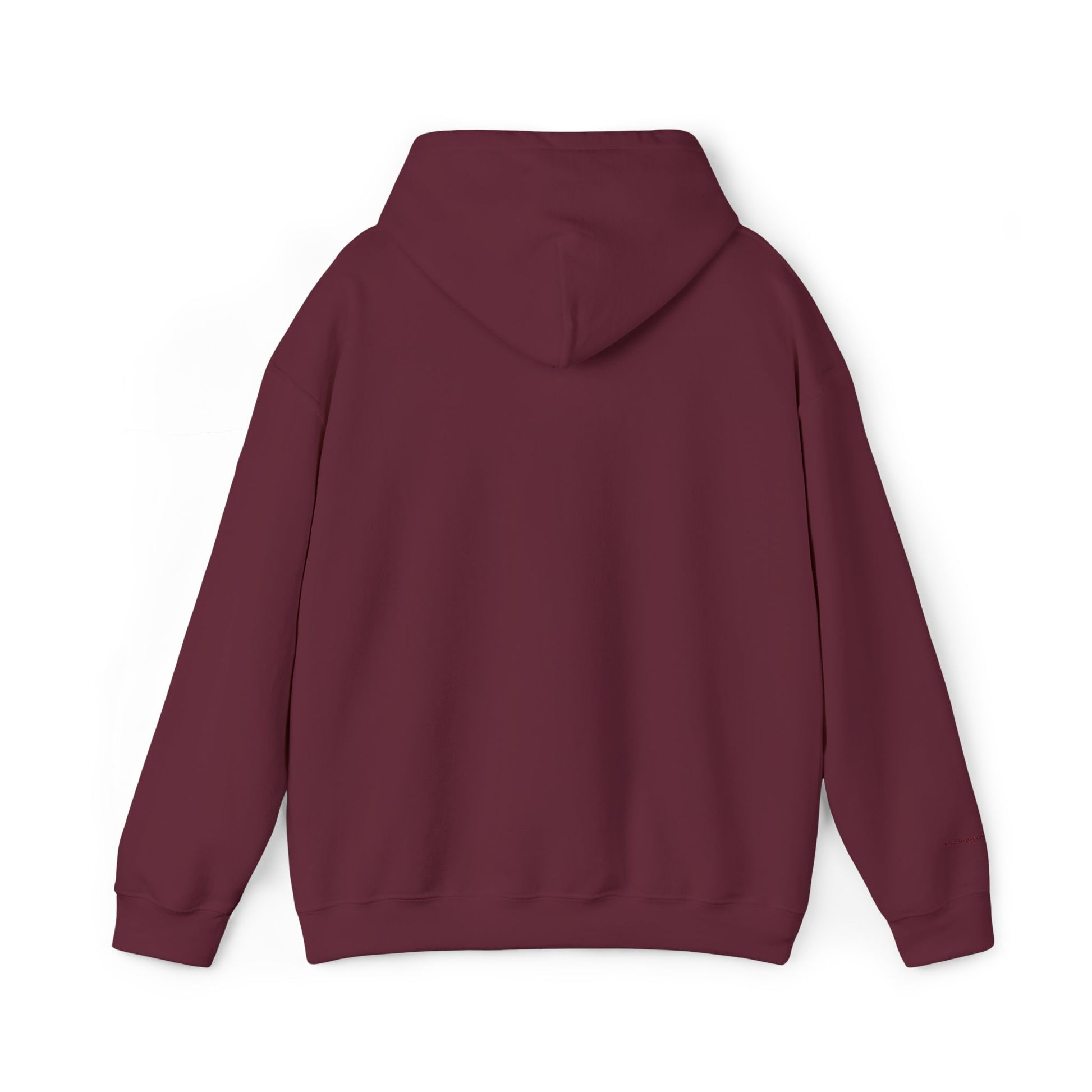 Barcelona Embroidered Hooded Sweatshirt