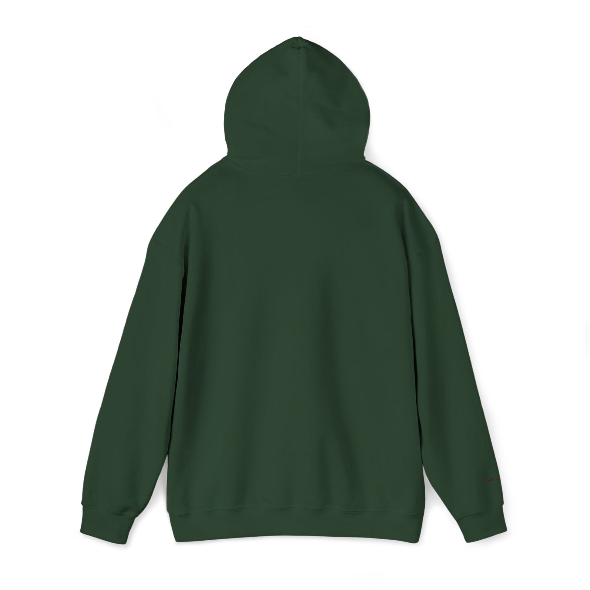São Paulo Embroidered Hooded Sweatshirt