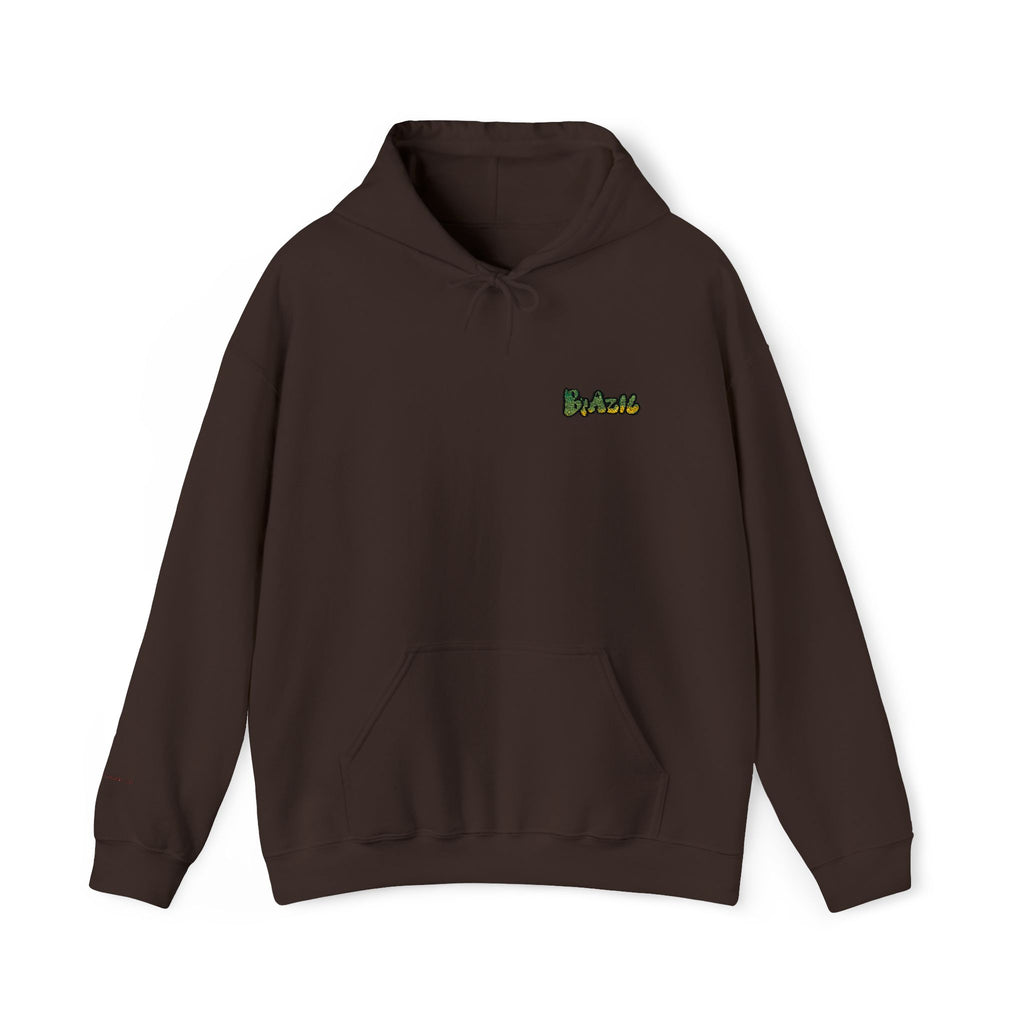 Brazil Embroidered Hooded Sweatshirt