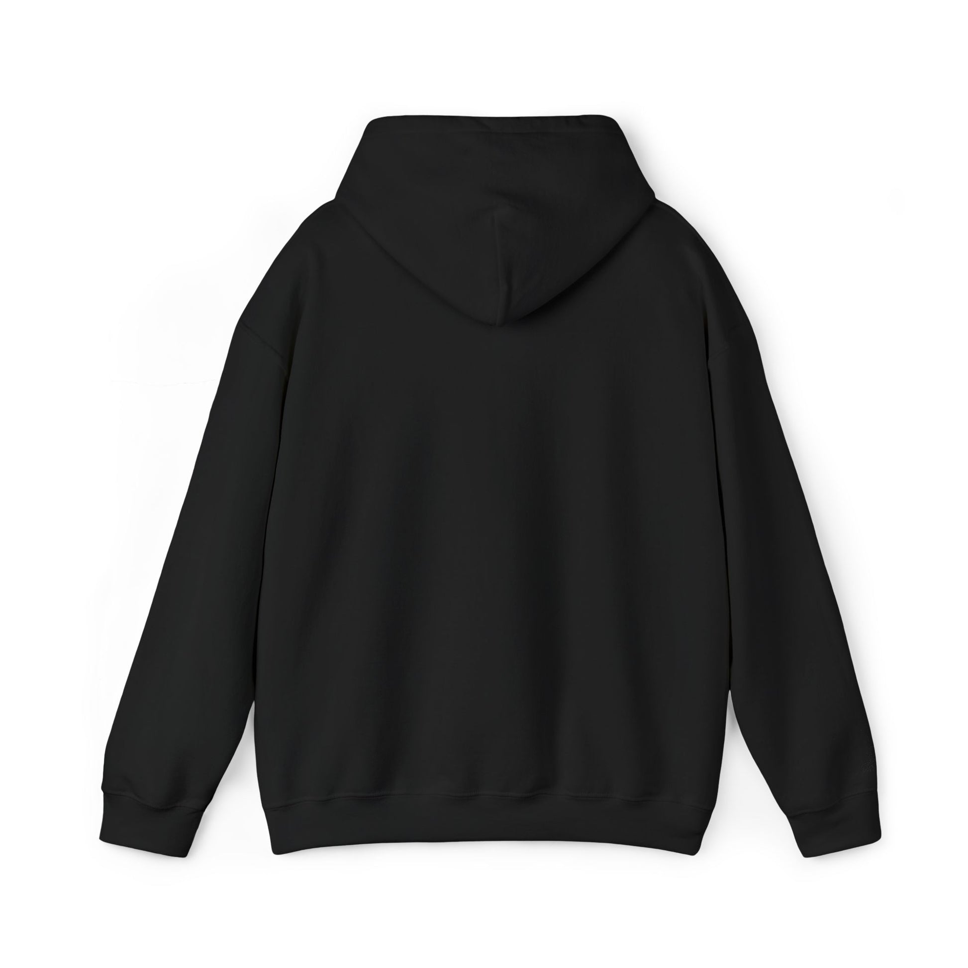 Atlanta Embroidered Hooded Sweatshirt