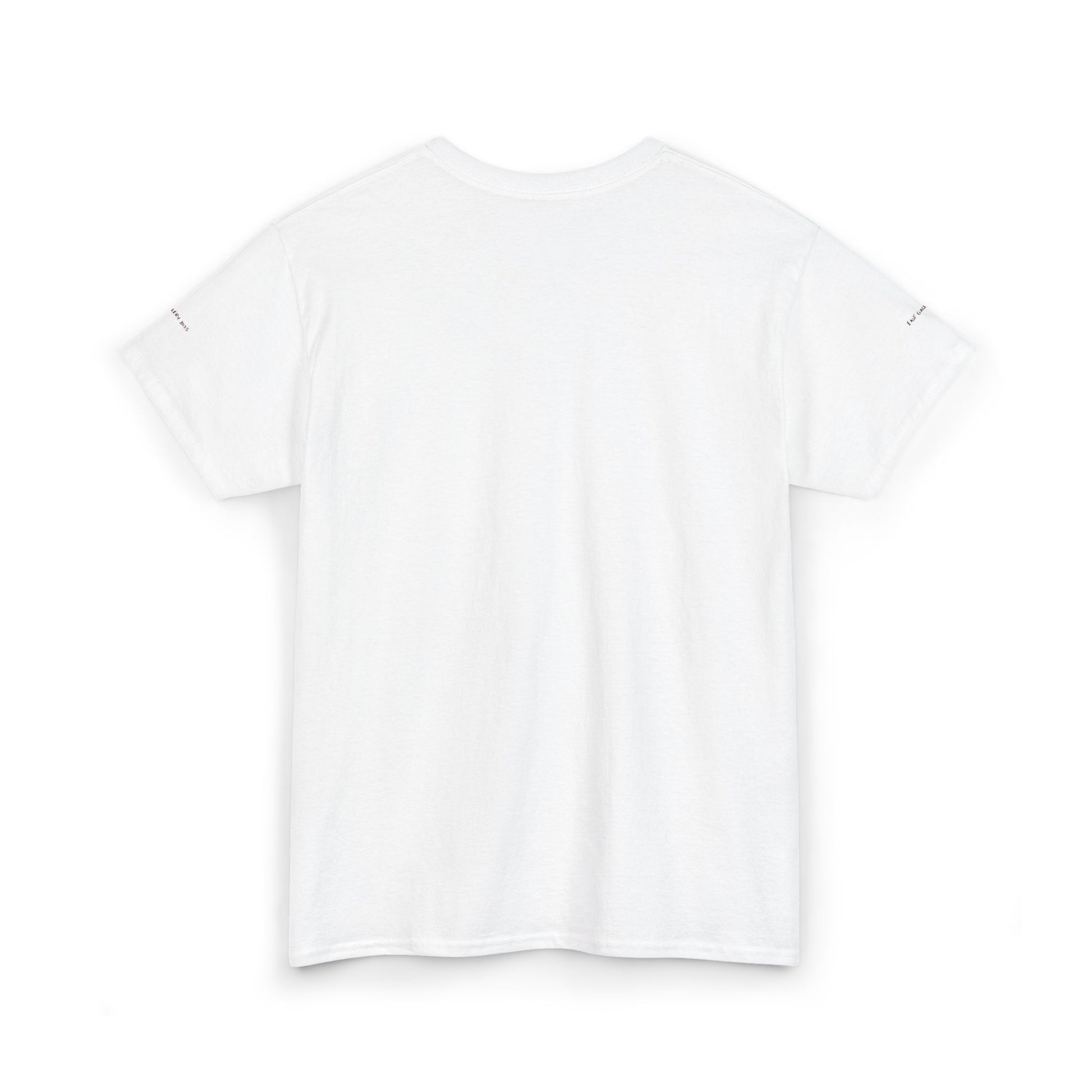 Mexico City Embroidered T-shirt