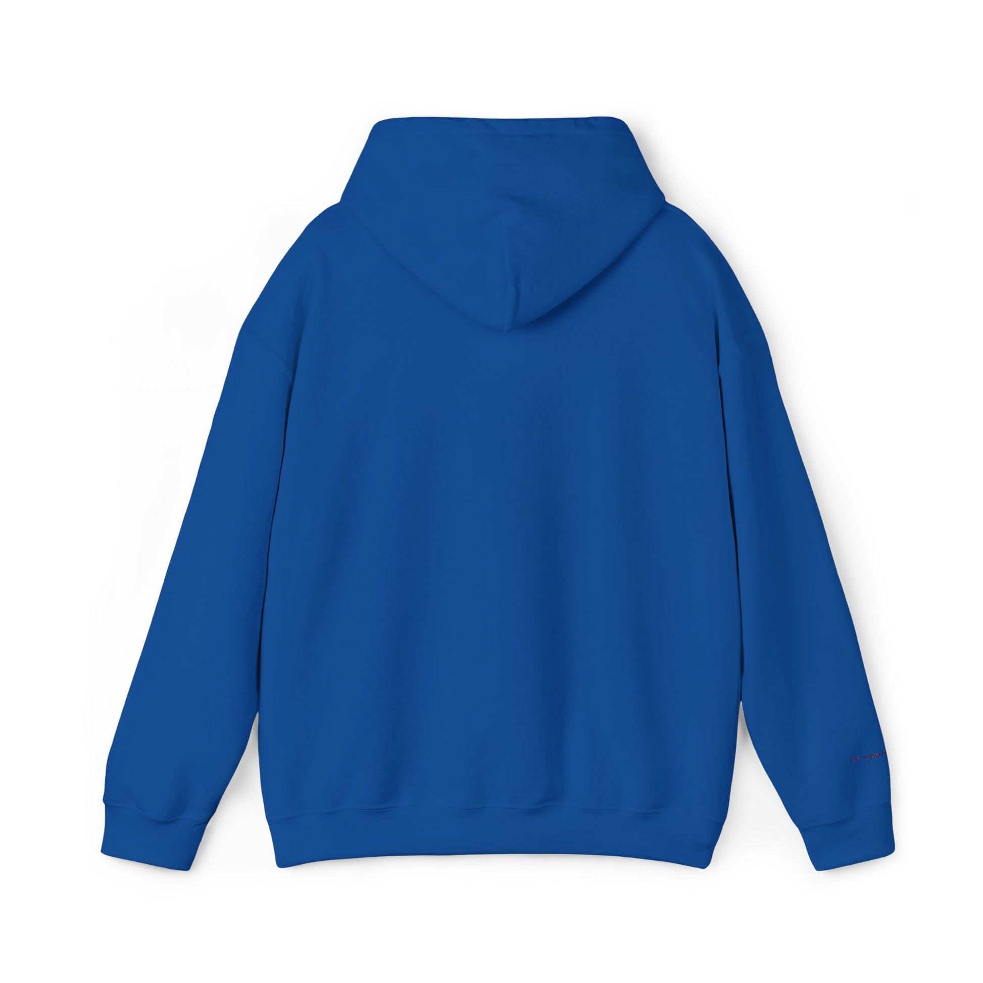 Barcelona Embroidered Hooded Sweatshirt