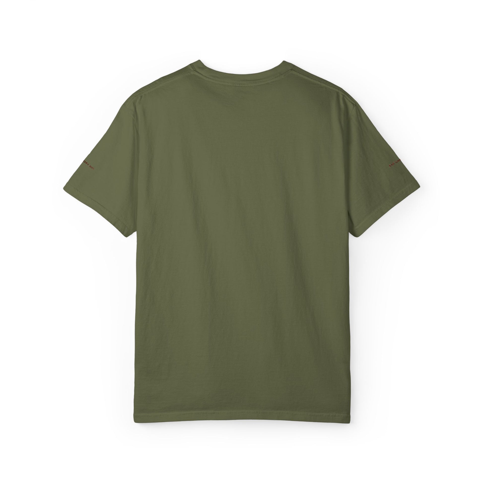 Houston Embroidered T-shirt