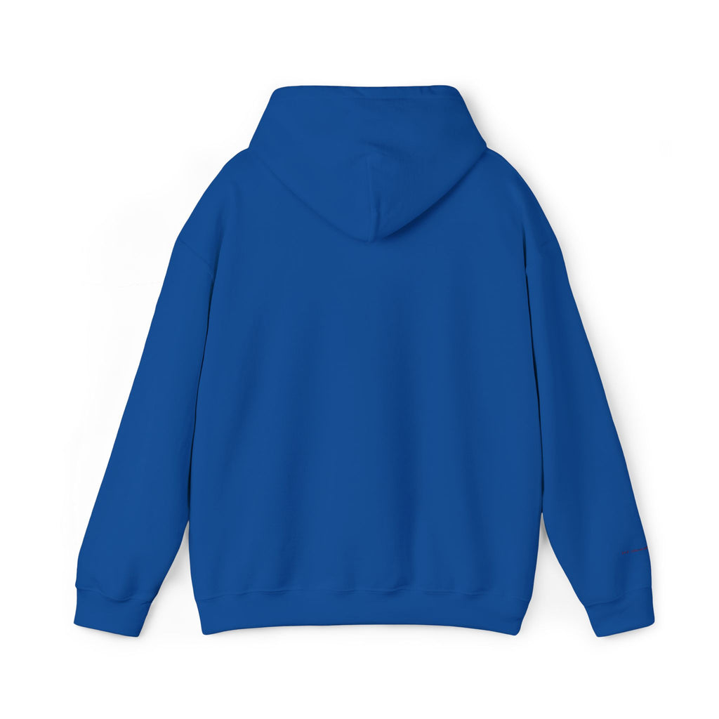 Houston Embroidered Hooded Sweatshirt