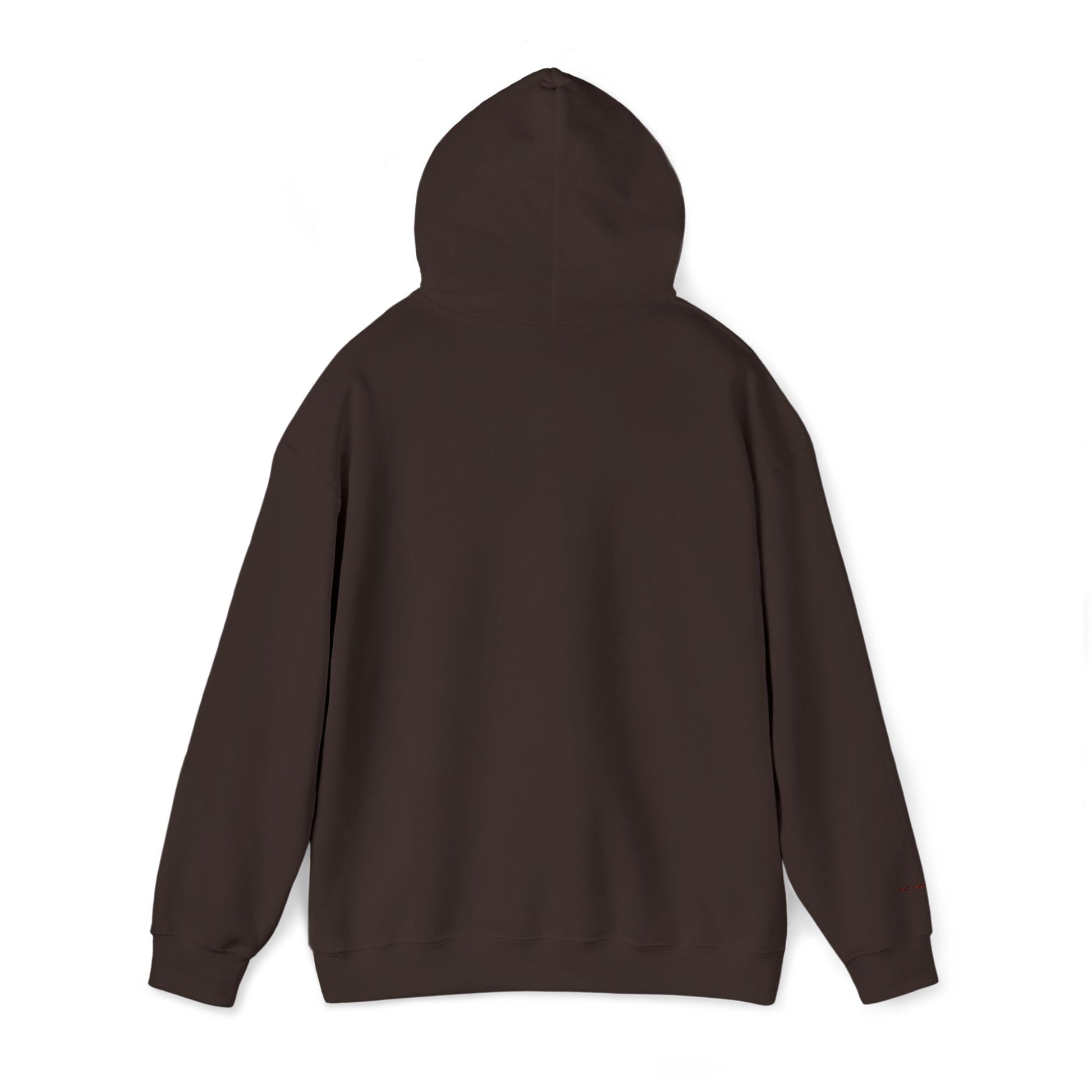 Toronto Embroidered Hooded Sweatshirt