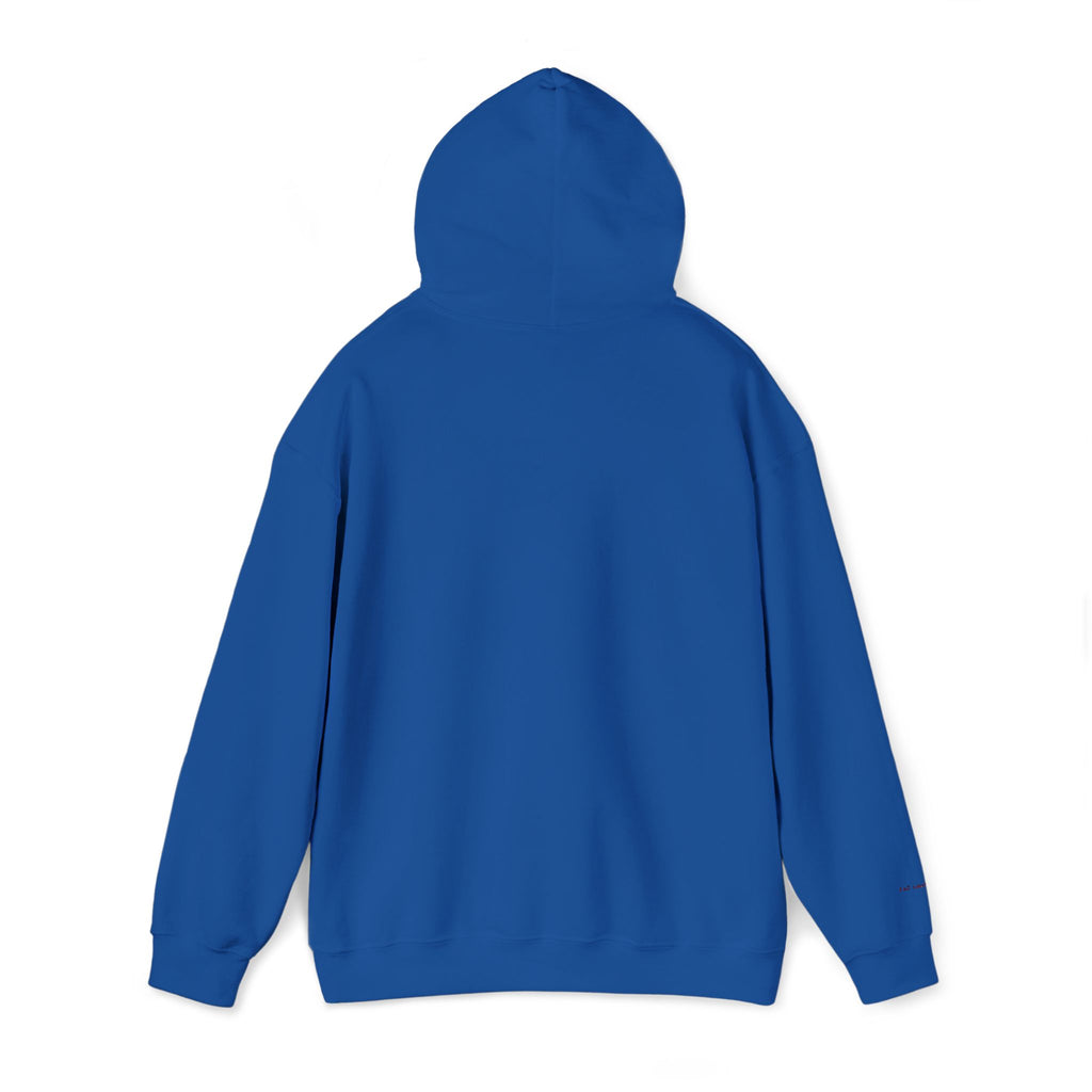 Toronto Embroidered Hooded Sweatshirt